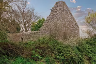 TULLY CHURCH